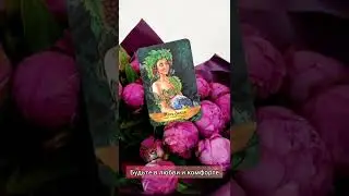 СОВЕТ ДНЯ ОТ ВЫСШИХ СИЛ!