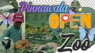 Pinnawala Open Zoo