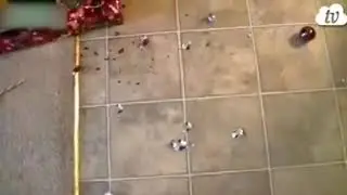 Вот так они умеют.