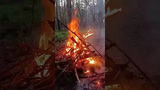 Жарю шашлыки в лесу..