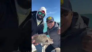 Ending 2023 with one last fishing trip | Tampa fishing