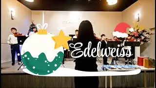 Violin Ensemble- Edelweiss | Brilliance Music Academy