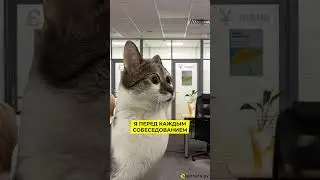 Но не стоит паниковать 😀 спокойствие только спокойствие