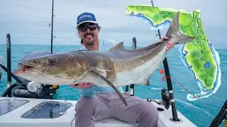 Weatherman LIED! 150 Mile Round Trip to GOM - Cobia - Catch and Cook (Jamaican Brown Stew)