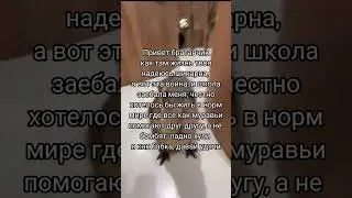 Где актив бля #рекомендации #top #врек #врекомендации