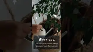 #motivasi #katamutiara @katabijak