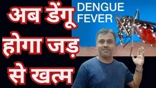 Dengue fever permanent solution with Homeopathic medicines