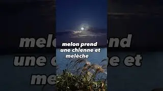 Melon et meleche