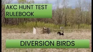 AKC HUNT TEST RULEBOOK - DIVERSION BIRDS