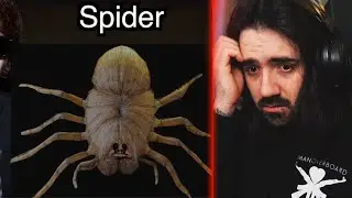 They buy a SPIDER as a PET at the DARKWEBSITE and IT GOES WRONG