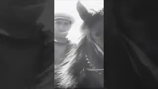 Перегон скота в Дагестане