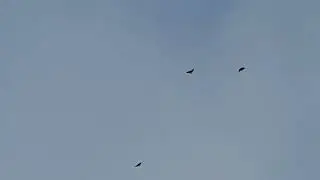 26 декабря 2023 г.