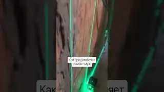 10 октября 2023 г.