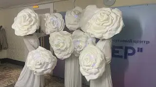 Розы шоу-балет Beauty Ставрополь