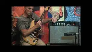 LUKER TUBE AMP STEREO COMBO with a Fender Strat