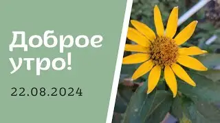 Доброе утро! 22.08.2024