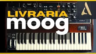 Livraria completa de moog para Audio Evolution - Tutorial Passo a Passo
