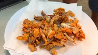 COMO FAZER UMA PIRANHA SABOROSA NA BEIRA DO RIO