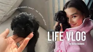VLOG: пополнение в нашей семье - мы завели щенка! вся история появления и как проходят наши будни!