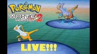[LIVE] Full Odds Shiny Latias Hunt Day #2 - Pokemon White 2