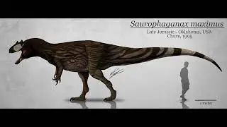 Sound Effects - Saurophaganax Maximus (Custom)