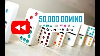 Amazing Fifty Thousand Domino Reverse Video  |  #ReverseFlashBack