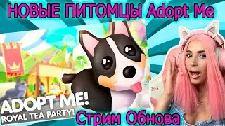 СТРИМ ОБНОВА в Adopt me Roblox Новые Питомцы в Адопт ми Обзор