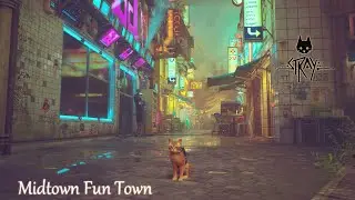 Reaching MIDtown Stray #4