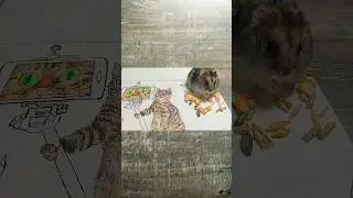 Как нарисовать Кота с Pinterest