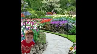 الطفل  يوسف ابرهيم خليل