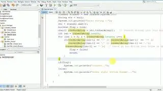 check whether input string using Scanner Class is Correct using java