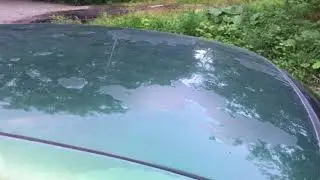 Текущее состояние вектры.