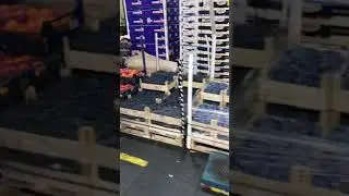 Фуд Сити! Самые низкие цены!