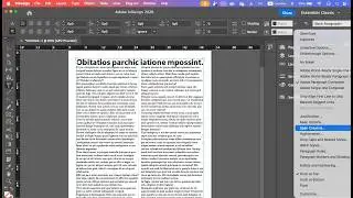 Span columns and Split columns in InDesign