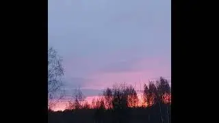 #сказочный