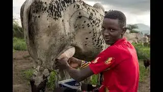 Afriscout 2024