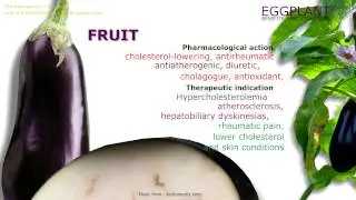 EGGPLANT. Benefits of the Eggplant