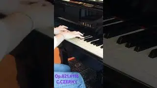 🎹Need the exercise?▶️#116:Op.821,160 Eight measure Exercise - C.CZERNY#shorts #piano