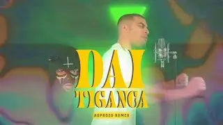 GHEBOASA x LIL CAGULA - DA-I TIGANCA 2 (Asproiu Remix)