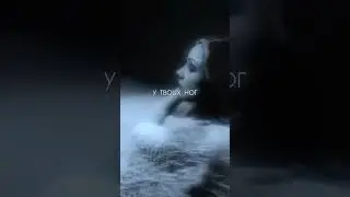 VINS - Шторм 🌪️ песня на всех площадках!