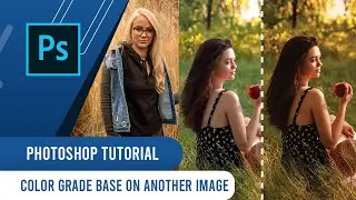 Copy the Color Grading from Any Image with Photoshop