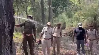 Miracle Video || Water from tree in Papikondalu National Forest: నల్లమద్ది చెట్టు | Top9Telugu