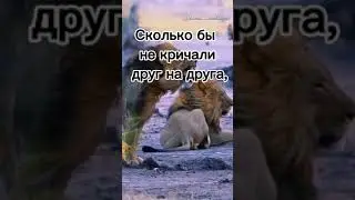 Мотивация для любимых❤️