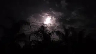 Patio and landscape lighting and full moon light