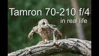 tamron 70-210 f/4, what's it like to actually use?