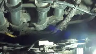 Ford Focus 1.6 Не заводится.