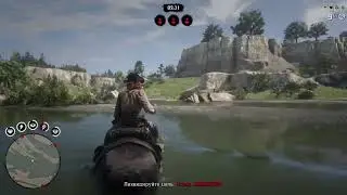 Rdr