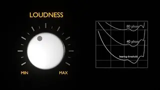 Digital Loudness Control / Basic Model