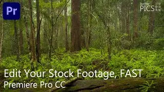 Tutorial: How to edit your stock video FAST in Premiere Pro CC | 
