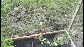 MEMULAKAN HOBI BARU, SANTAI BRO